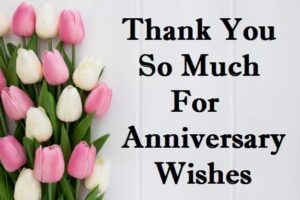 Thanks-You-For-Anniversary-Wishes-In-Hindi (2)