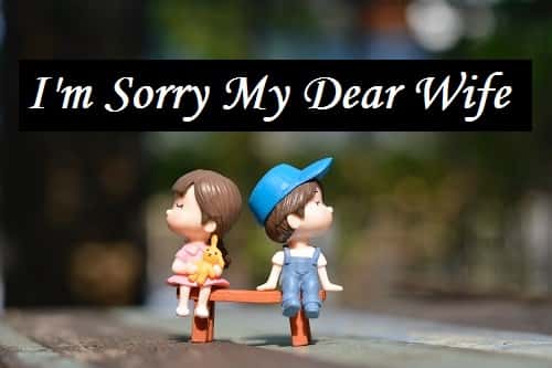 Sorry-Shayari-Msg-Sms-For-Wife-In-Hindi (2)