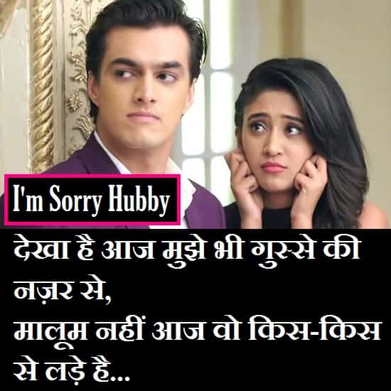 Sorry-Shayari-Quotes-Message-For-Husband-In-Hindi (1)