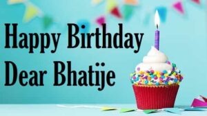 Birthday-wishes-for-nephew-in-marathi (2)