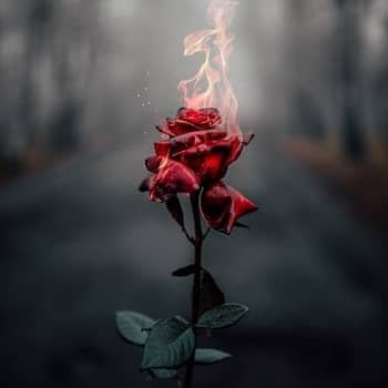 Sad-DP-For-Girls (19)