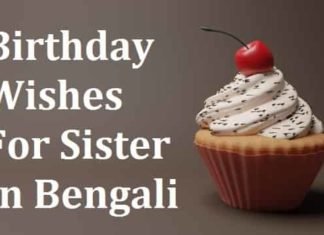 Birthday Wishes For Sister In Bengali – শুভ জন্মদিন বোন