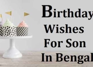 {Best 2024} Birthday Wishes For Son In Bengali – ছেলের জন্মদিনের শুভেচ্ছা Birthday-Wishes-For-Son-In-Bengali