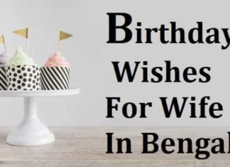 Birthday Wishes For Wife In Bengali – বউকে জন্মদিনের শুভেচ্ছা Birthday-Wishes-For-Wife-In-Bengali