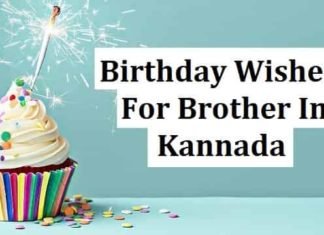 Birthday Wishes For Brother In Kannada – ಜನ್ಮದಿನದ ಶುಭಾಶಯಗಳು ಸಹೋದರ Birthday-Wishes-For-Brother-In-Kannada