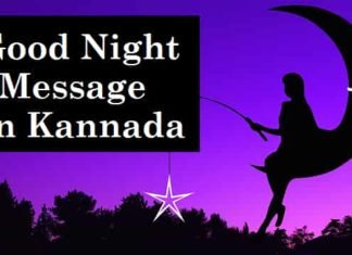 {Best 2024} Good Night Wishes, Quotes & Message In Kannada Good-Night-Message-In-Kannada