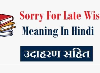 Sorry-For-Late-Wish-Meaning-In-Hindi
