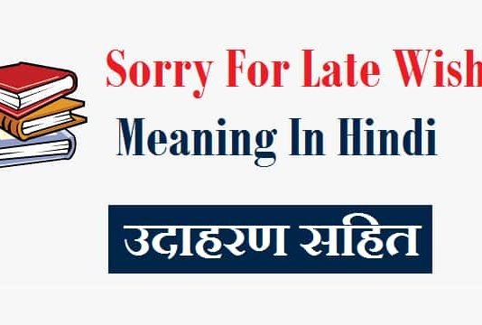 Sorry-For-Late-Wish-Meaning-In-Hindi