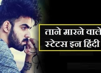 {Best 2024} ताने मारने वाली शायरी – ताने मारने वाले स्टेटस इन हिंदी
