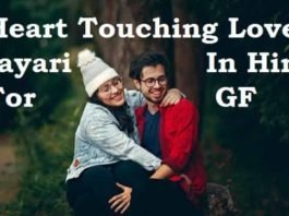 Heart-Touching-Love-Shayari-In-Hindi-For-Girlfriend