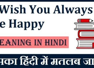 I Wish You Always Be Happy Meaning In Hindi – इसका हिंदी में मतलब जानें I-Wish-You-Always-Be-Happy-Meaning-In-Hindi (1)