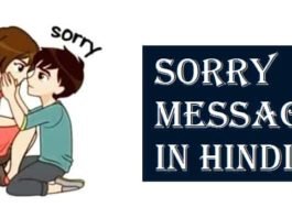 Sorry-Message-Status-Quotes-In-Hindi (1)
