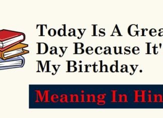 Today-Is-A-Great-Day-Because-It's-My-Birthday-Meaning-In-Hindi (1)