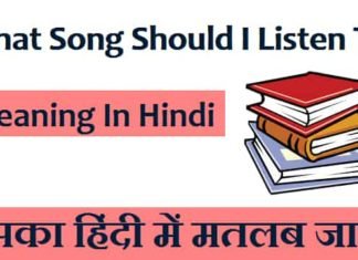 What Song Should I Listen To Meaning In Hindi – इसका हिंदी में मतलब जाने What-Song-Should-I-Listen-To-Meaning-In-Hindi (1)