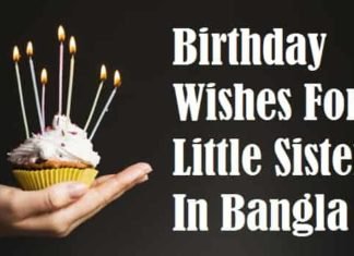 ছোট-বোনের-জন্মদিনের-শুভেচ্ছা