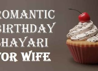 {Best 2024} Wife Birthday Shayari In Hindi English Romantic-Birthday-Shayari-For-Wife-In-Hindi