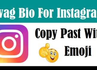 Swag-Bio-For-Instagram-In-Hindi (1)