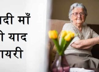 {Best 2024} दादी की याद शायरी – Miss You Dadi Quotes In Hindi दादी-माँ-पर-शायरी