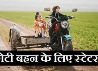 {Best 2024} छोटी बहन के लिए शायरी, स्टेटस In Hindi English छोटी-बहन-के-लिए-शायरी-स्टेटस (1)