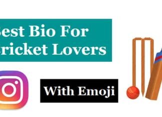 {Best 2024} Cricket Bio For Instagram – Instagram Bio Cricket Lover Instagram-Bio-For-Cricket-Lovers (1)