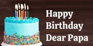 Birthday-Wishes-For-Father-From-Daughter-In-Hindi (1)