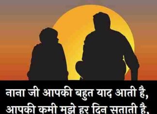 Miss-You-Nanaji-Status-In-Hindi (1)