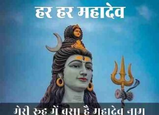 {Best 2024} Har Har Mahadev Status – हर हर महादेव स्टेटस Har-Har-Mahadev-Status (1)