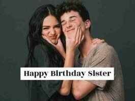 Funny Birthday Wishes For Sister In Hindi (1)