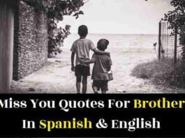 miss-you-quotes-for-brother-in-spanish