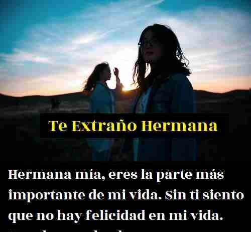 miss-you-quotes-for-sister-in-spanish (1)